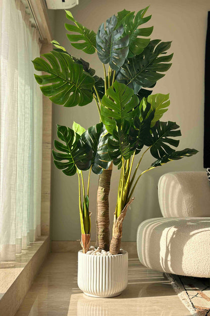 Euroxo Artificial Green Monstera - 6 Feet