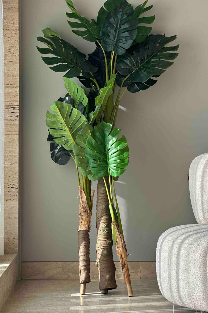 Euroxo Artificial Green Monstera - 6 Feet