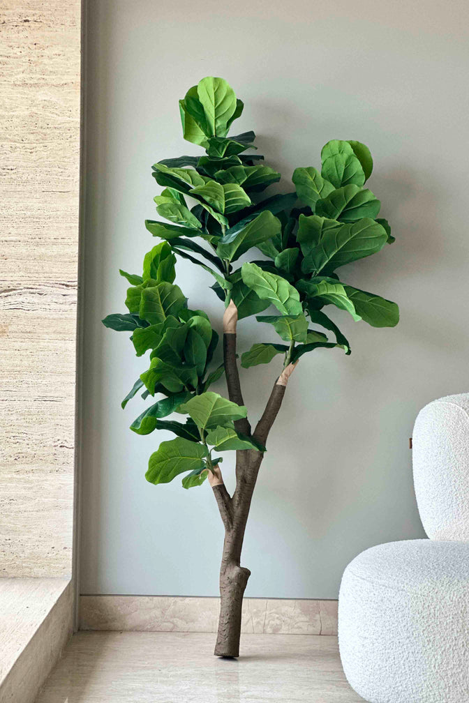 Artificial Fiddle Fig Plant 6 ft