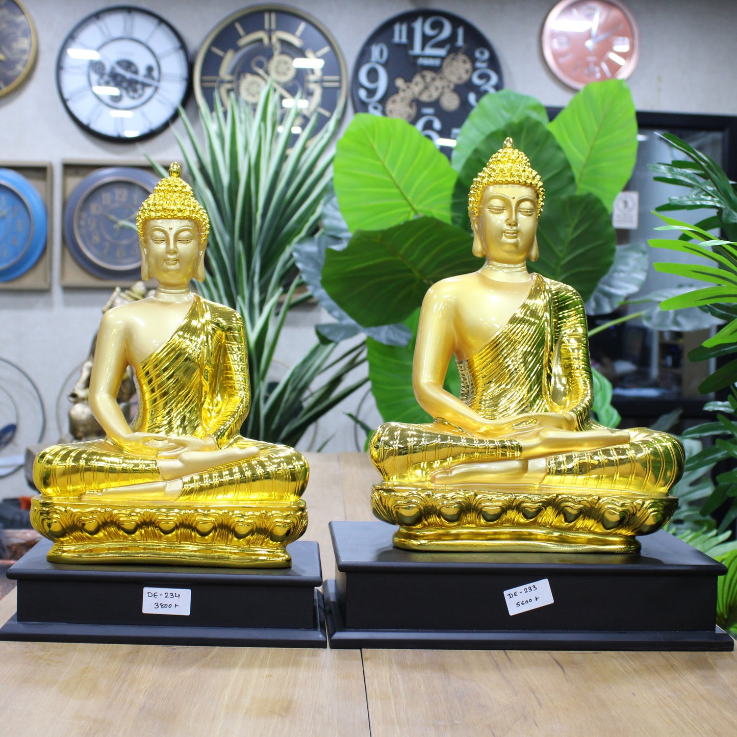 Euroxo Golden Buddha Idol in Dhyan Mudra