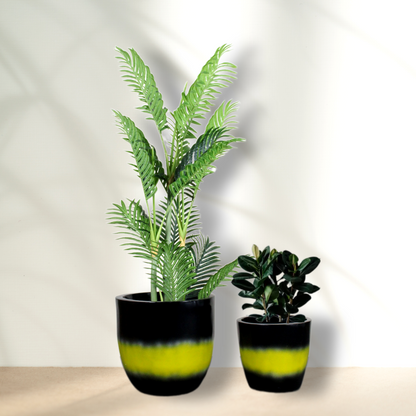 Euroxo Black Yellow Fiber Planter Set | FRP Planter for indoor & outdoor