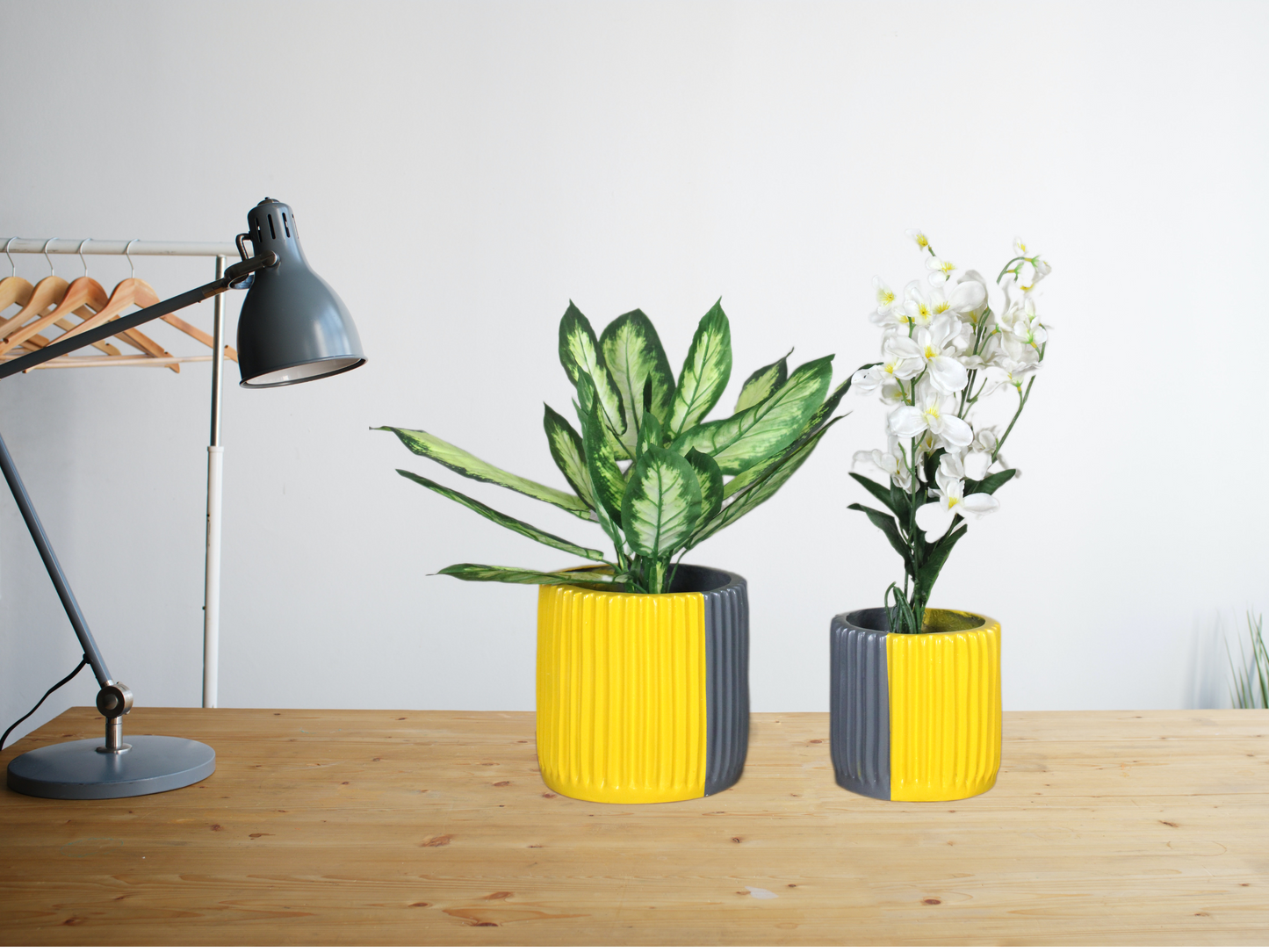 Euroxo Yellow Grey & Black White Fiber Planter Set | FRP Planter for indoor & outdoor (Set of 2)