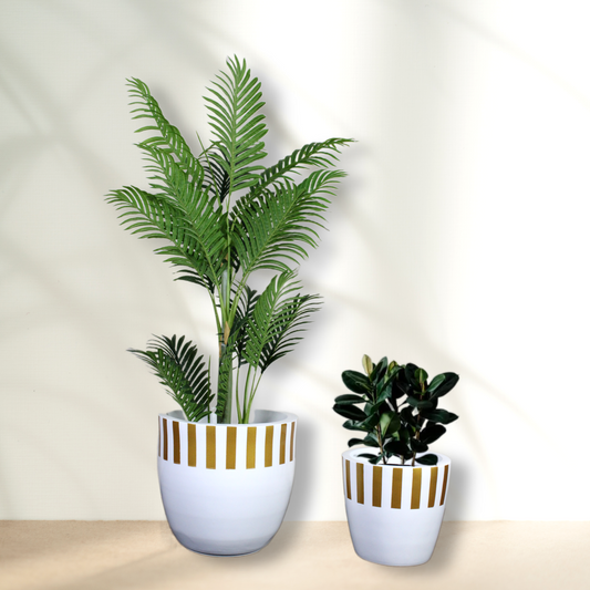 Euroxo White Gold Strip Fiber Planter Set | FRP Planter for indoor & outdoor